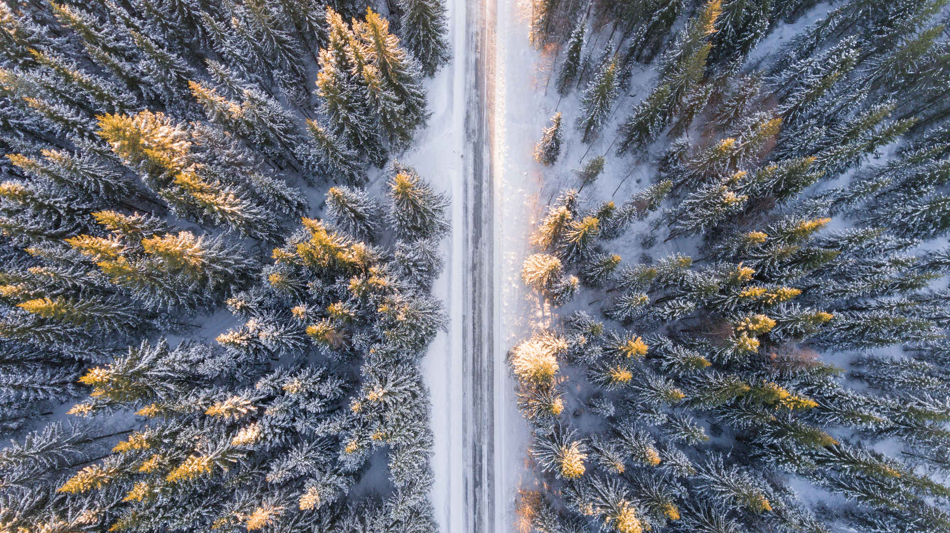 森林公路壁纸-