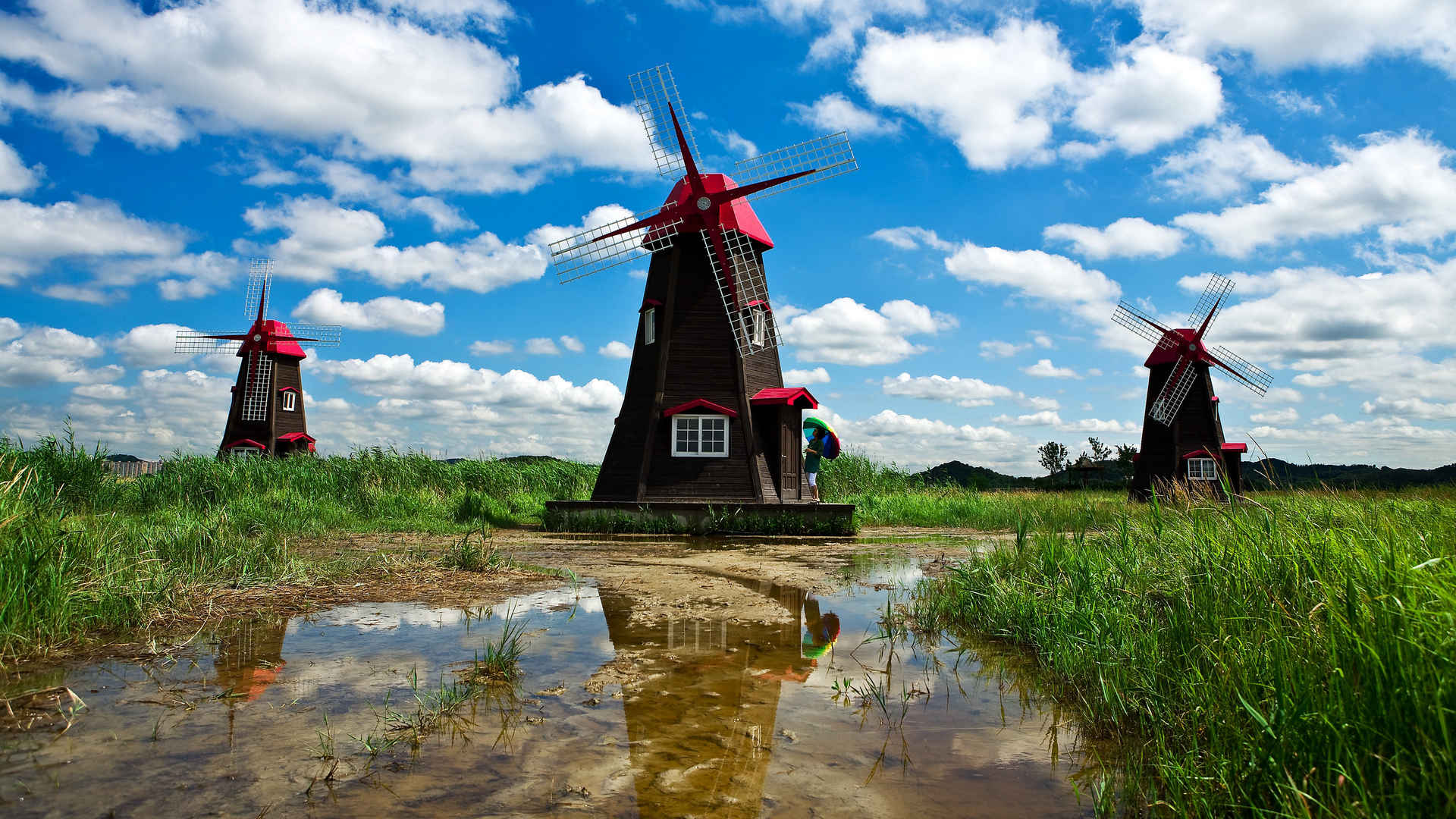 荷兰风车图片-