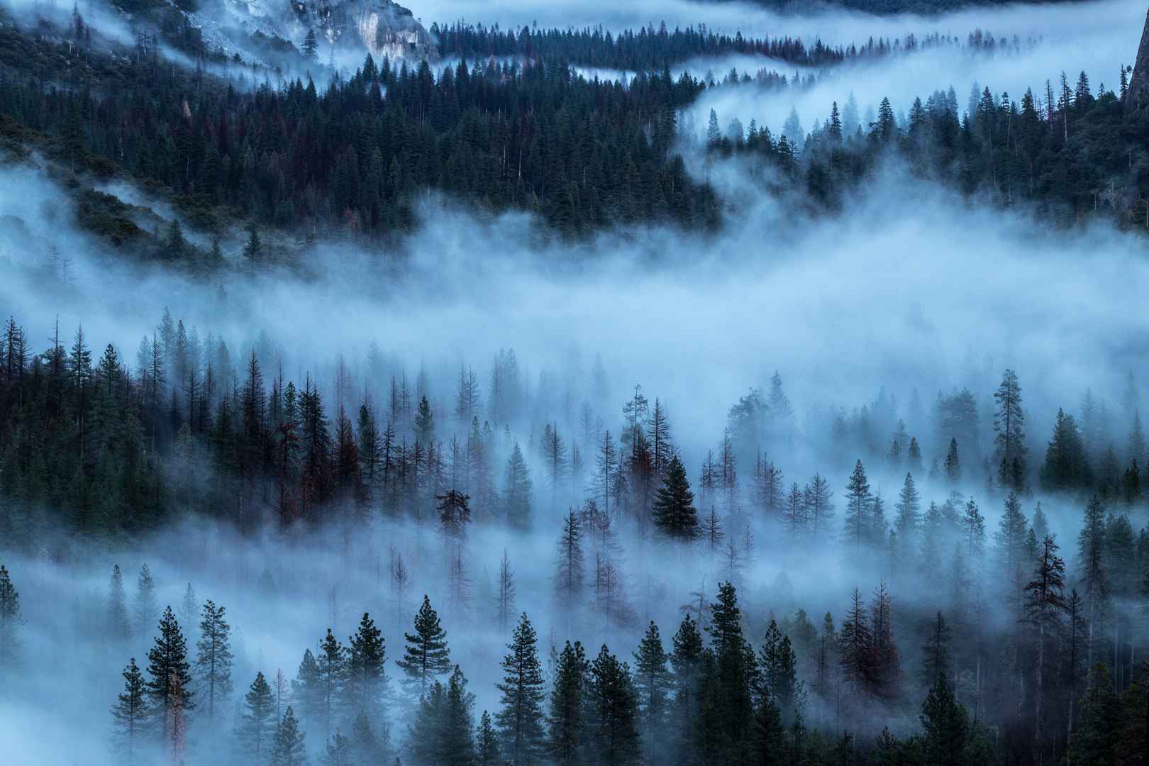森林云雾壁纸图片-