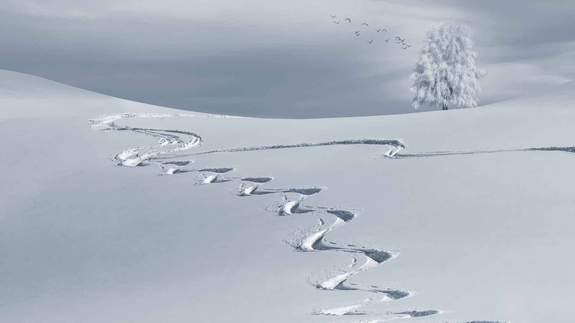 白色冬天极简雪地风景壁纸