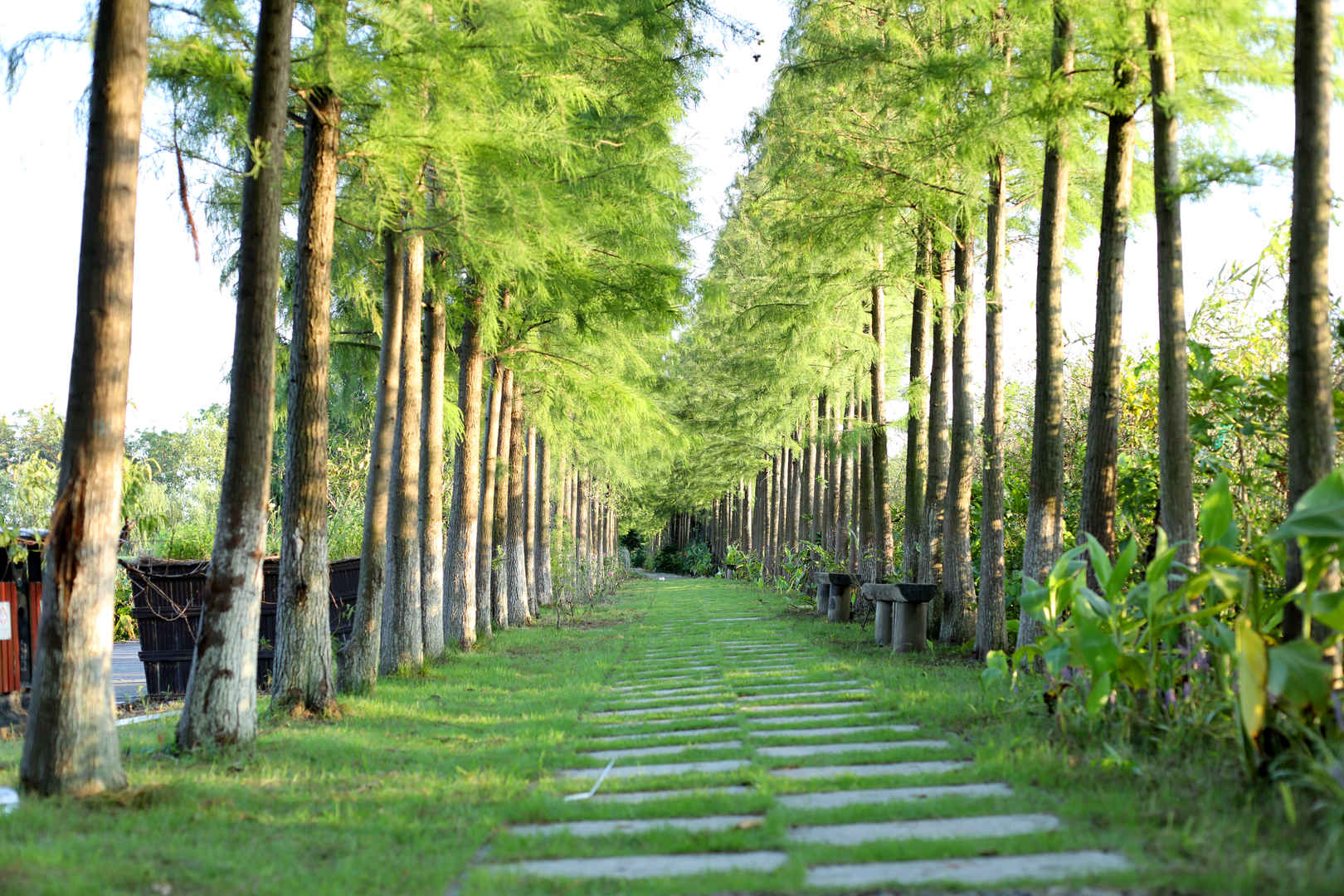 实拍石头步道人行路公园壁纸