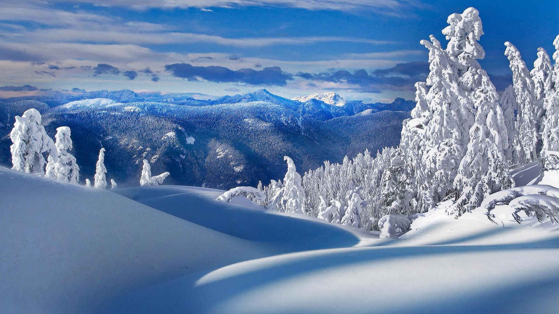 冬雪雪景壁纸