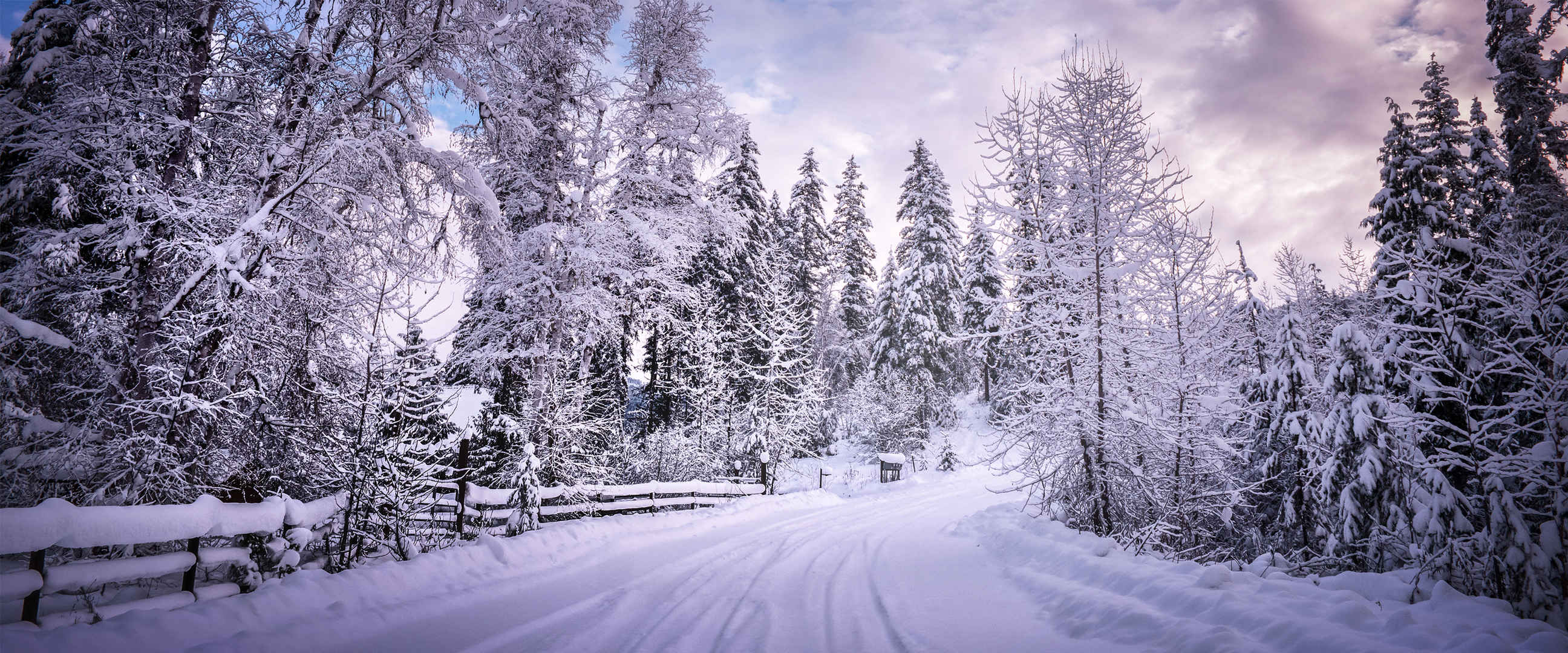 雪原公路树林壁纸图片-