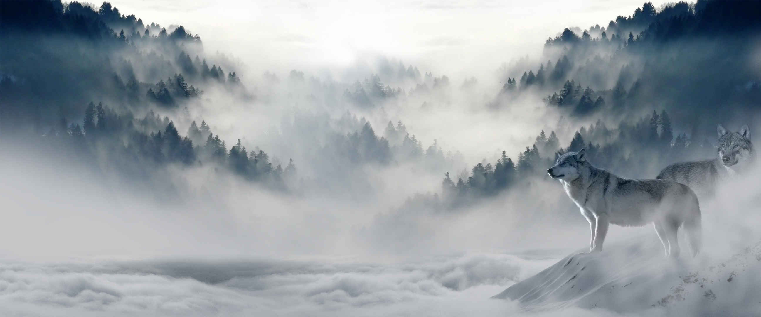 迷雾雪山4K带鱼屏壁纸