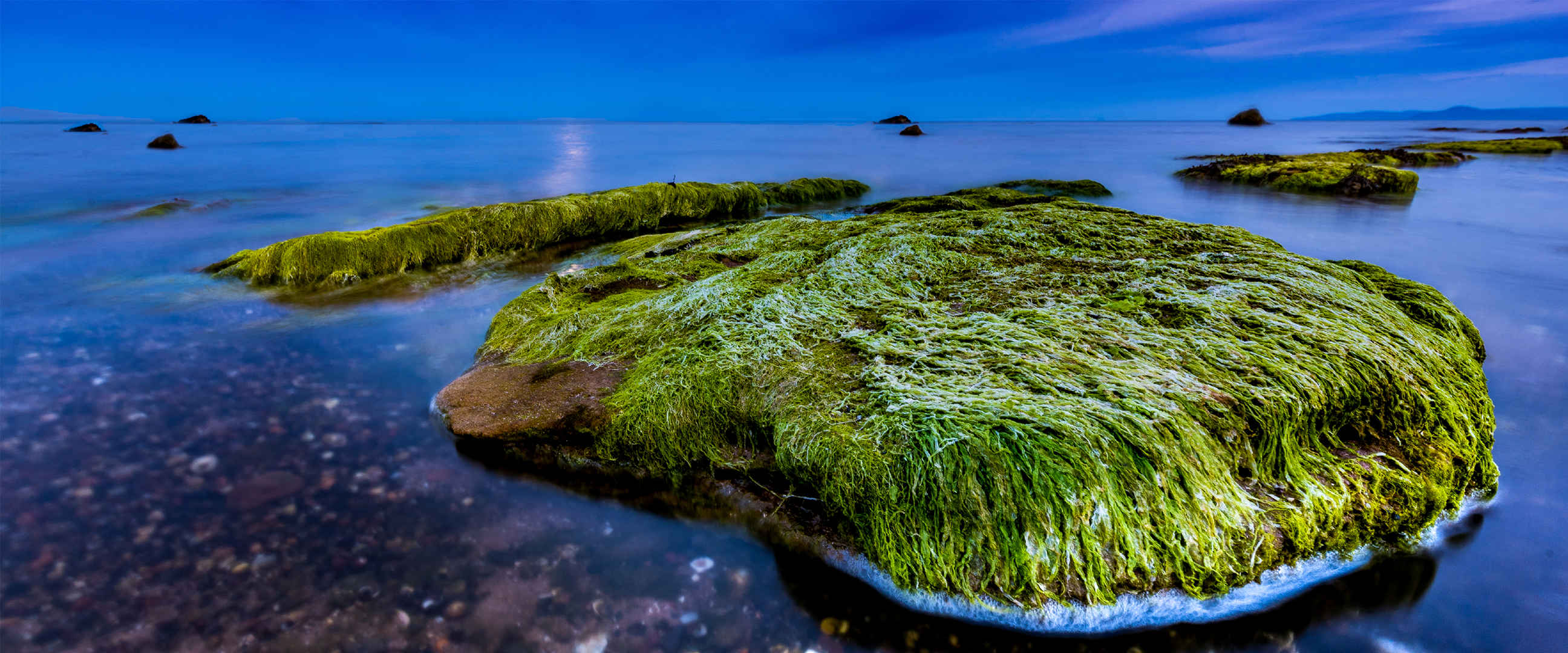 大海上的石头布满绿色海苔4K电脑壁纸-