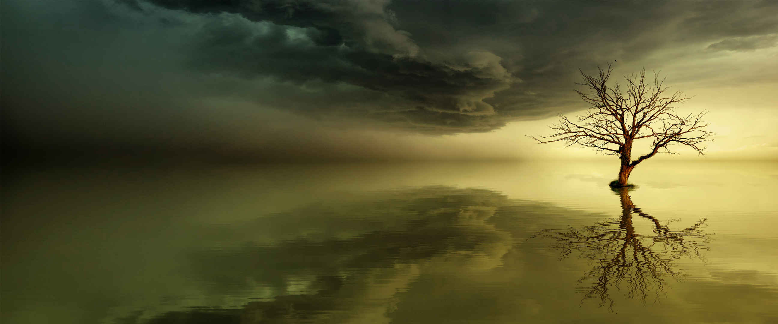 湖中一棵树倒影乌云凄凉意境图片-