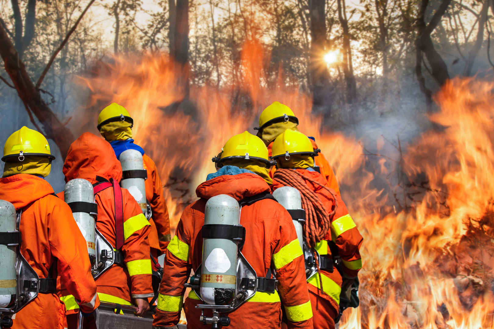 森林中的消防队员拼命救火图片