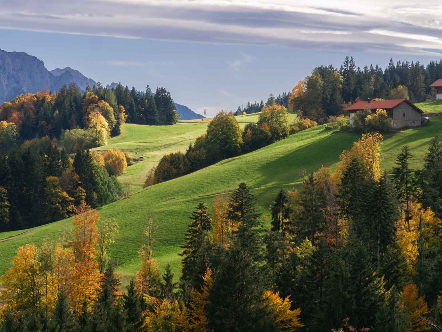 森林绿地北欧风景山坡图片