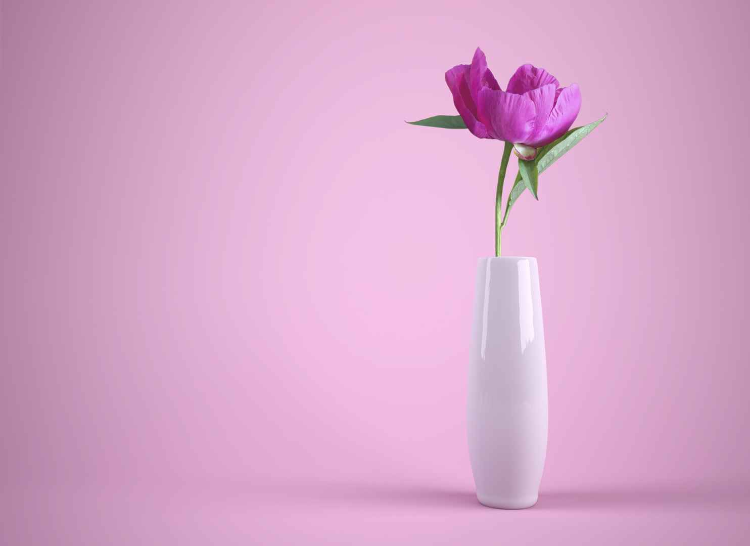 花瓶 粉色 单调 壁纸