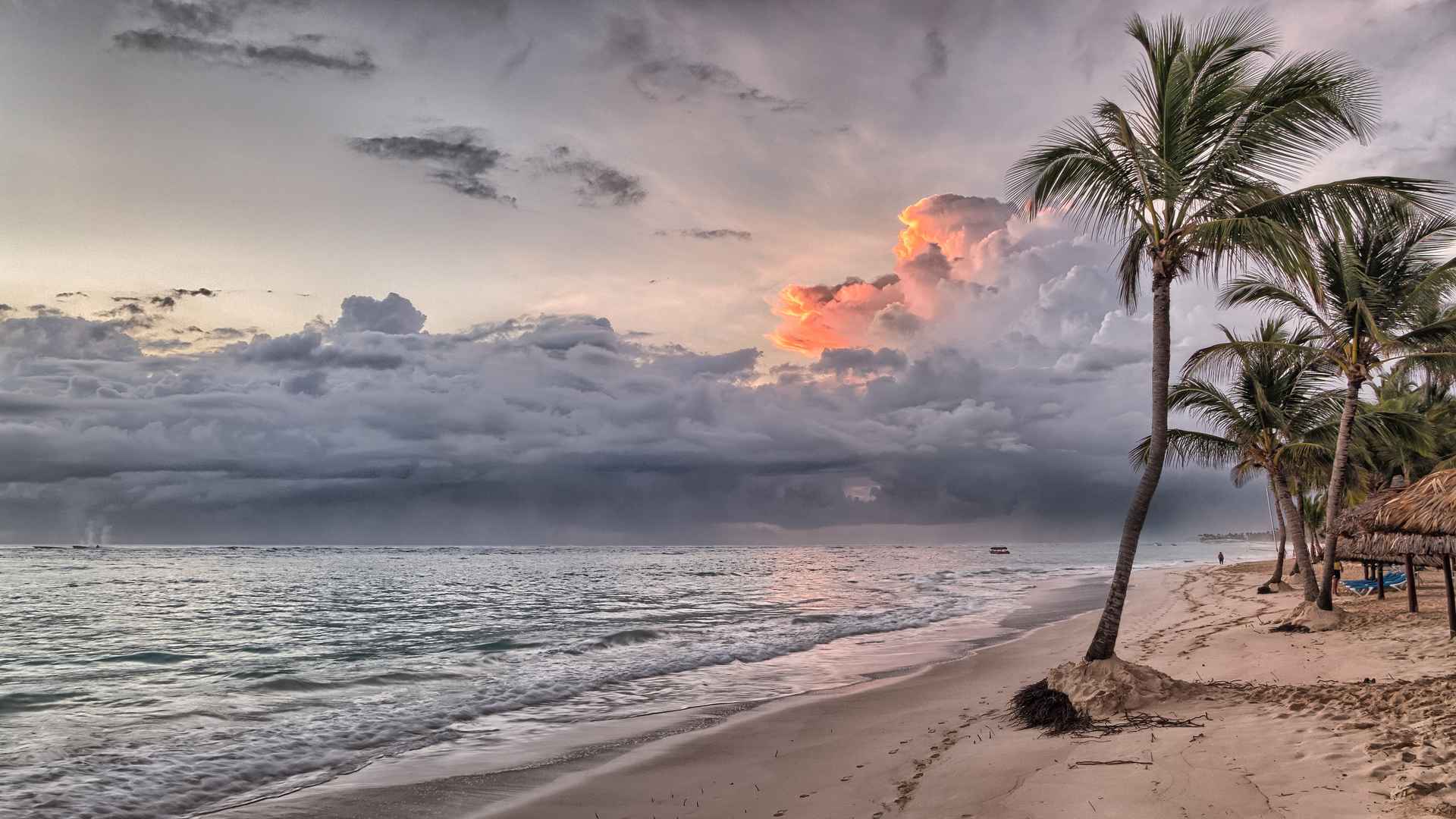 海滩 加勒比海 夏天  热带  棕榈树 壁纸