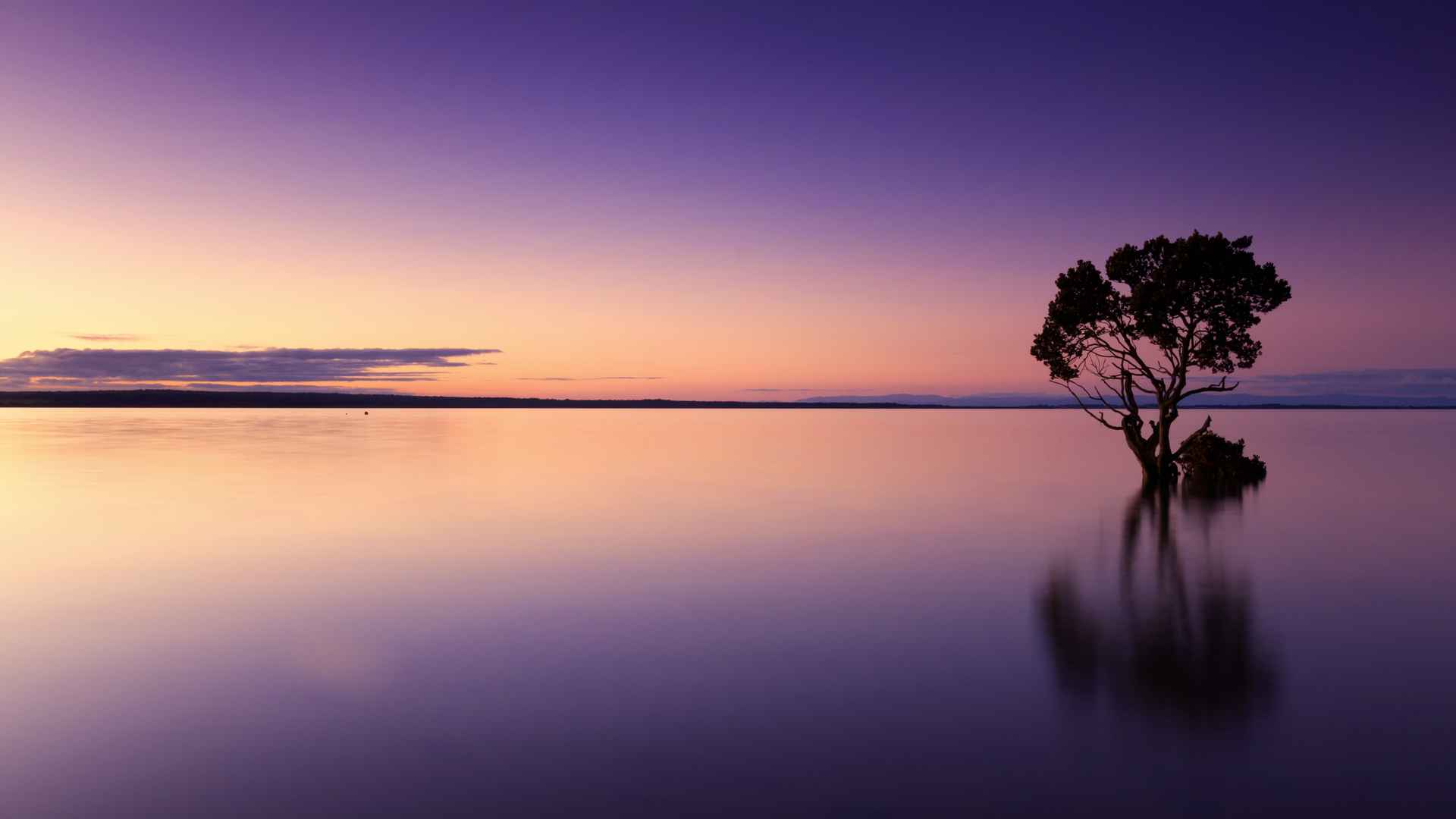 黄昏海面地平线壁纸