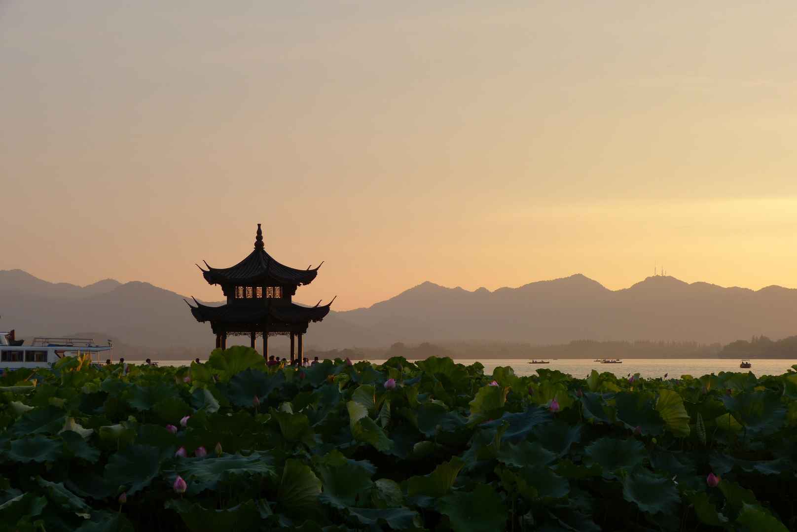 清晨西湖荷花凉亭图片