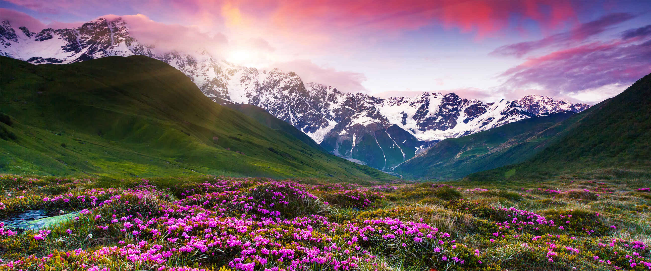 紫色天空 石头山脉 绿草鲜花 壁纸图片-