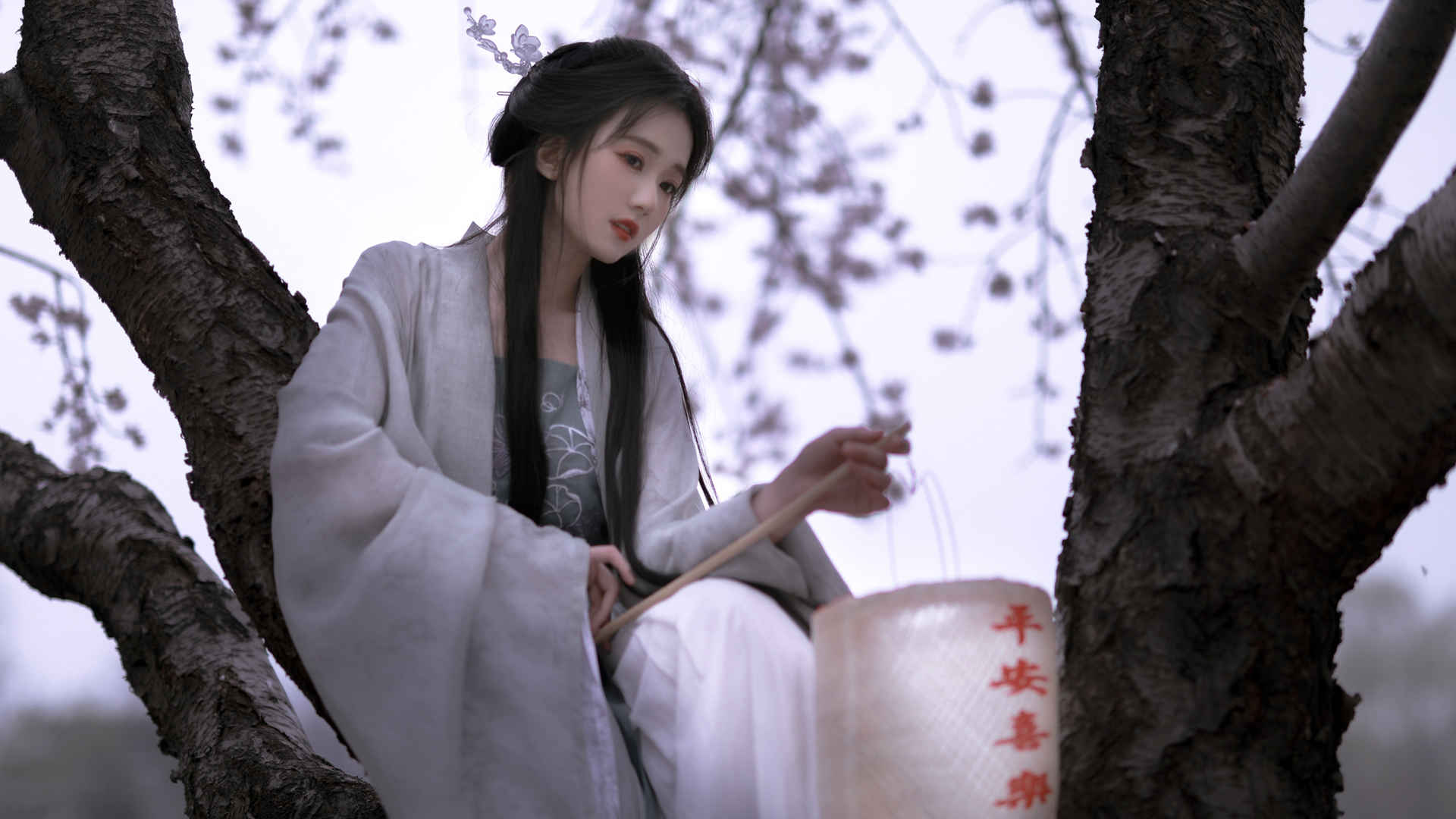 坐在树上古风壁纸 仙气 女子-
