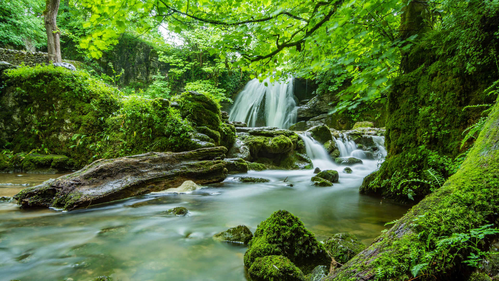  绿色 森林 瀑布 风景 壁纸