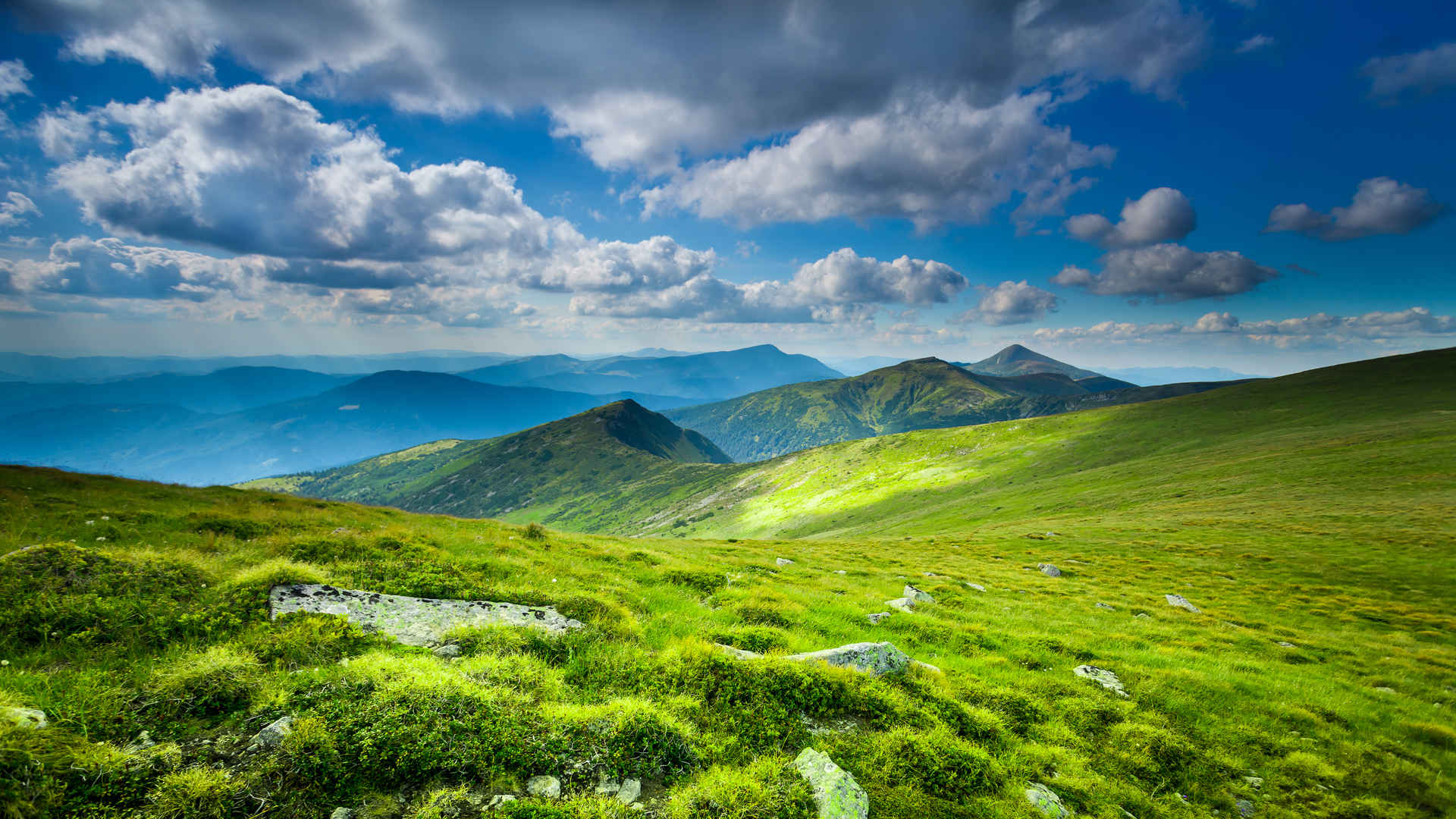 乌克兰喀尔巴阡山脉绿色风景壁纸