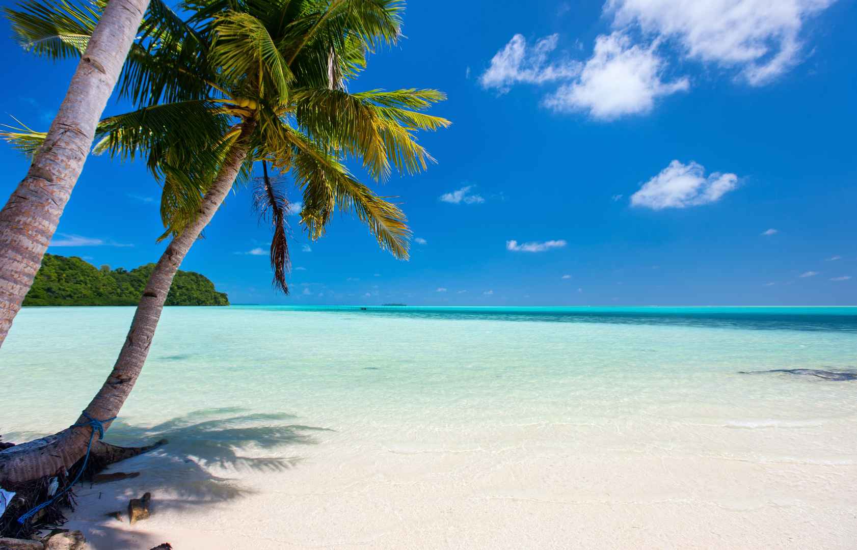 阳光 热带  棕榈树 岛屿 夏天 大海 海水 壁纸图片