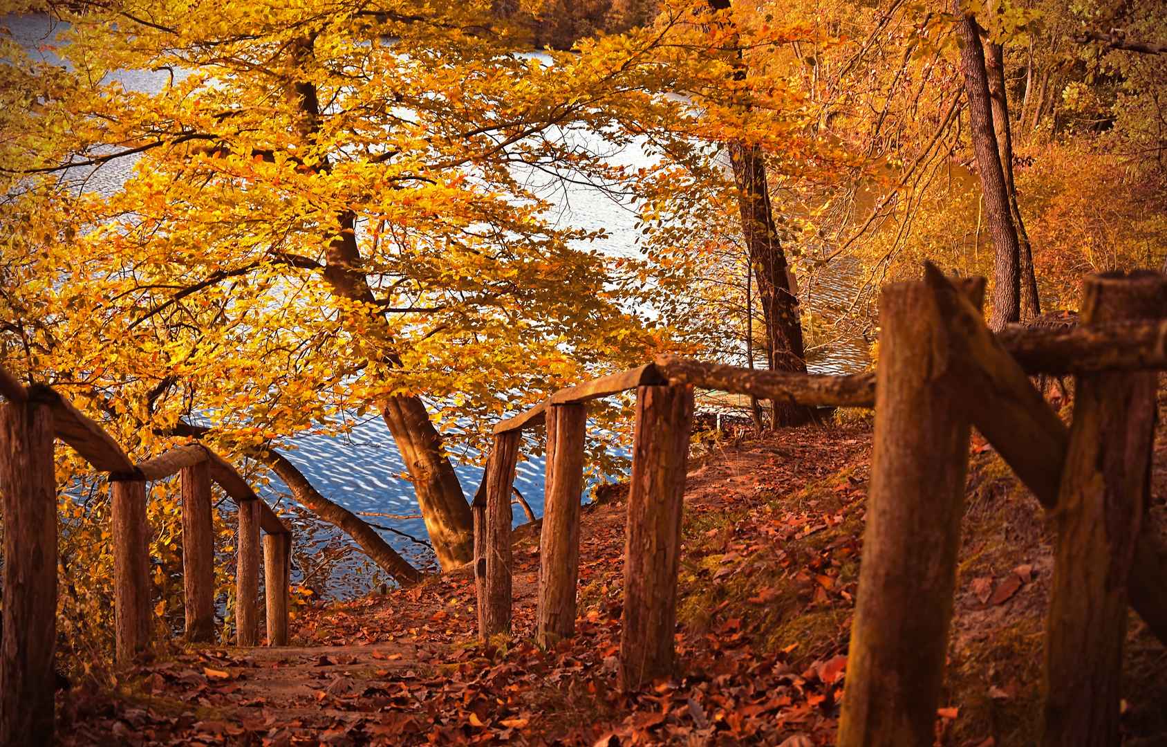 秋天 沿山小路 护栏 落叶 图片