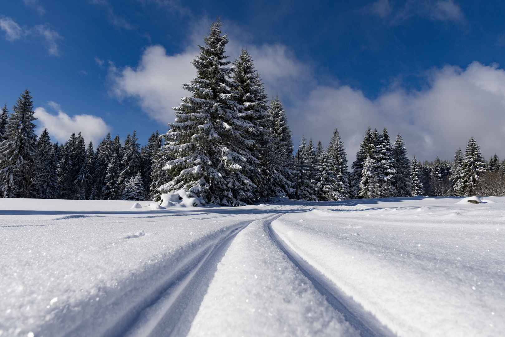 雪地跑道痕迹图片