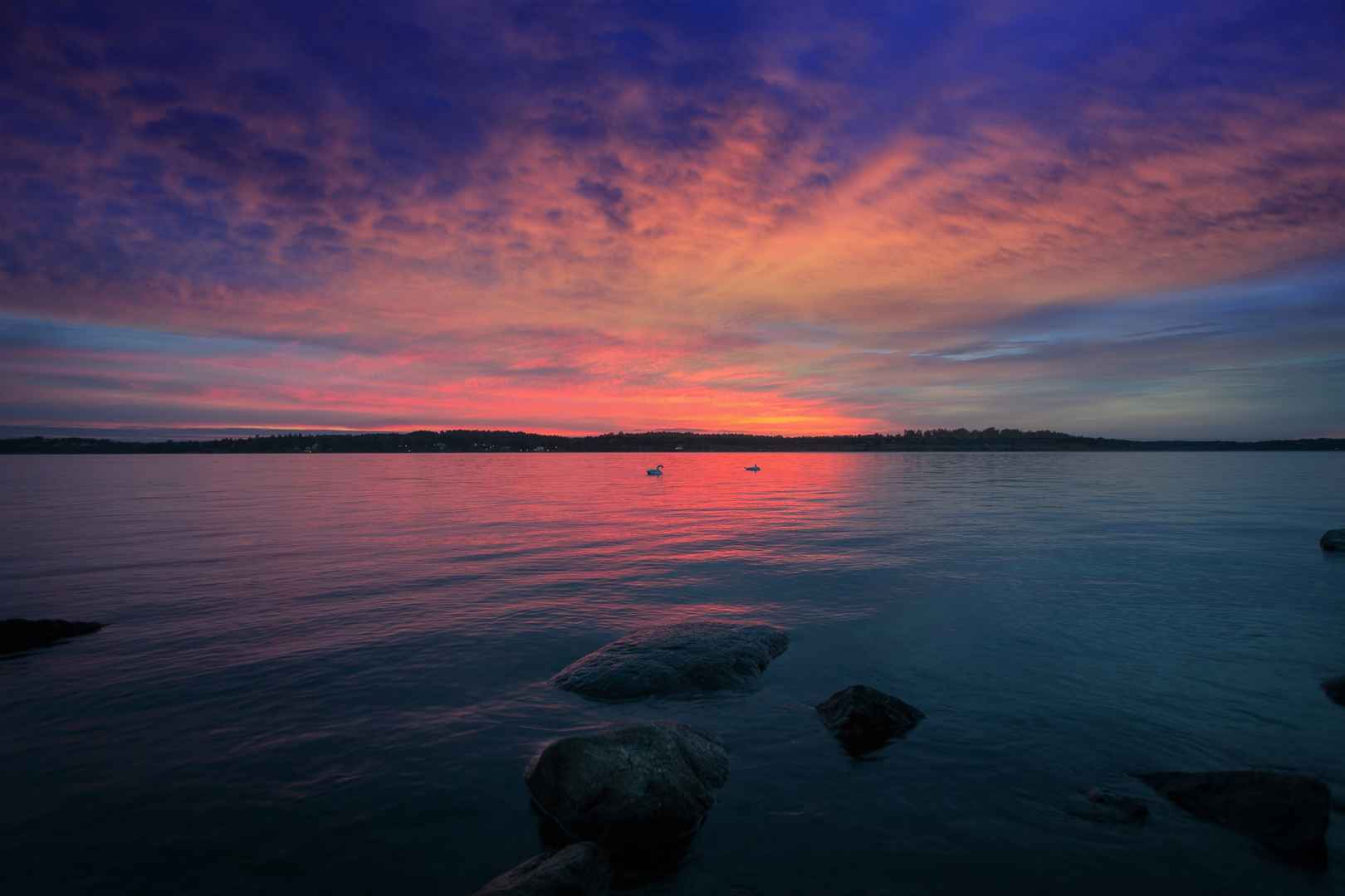 天鹅湖日落图片