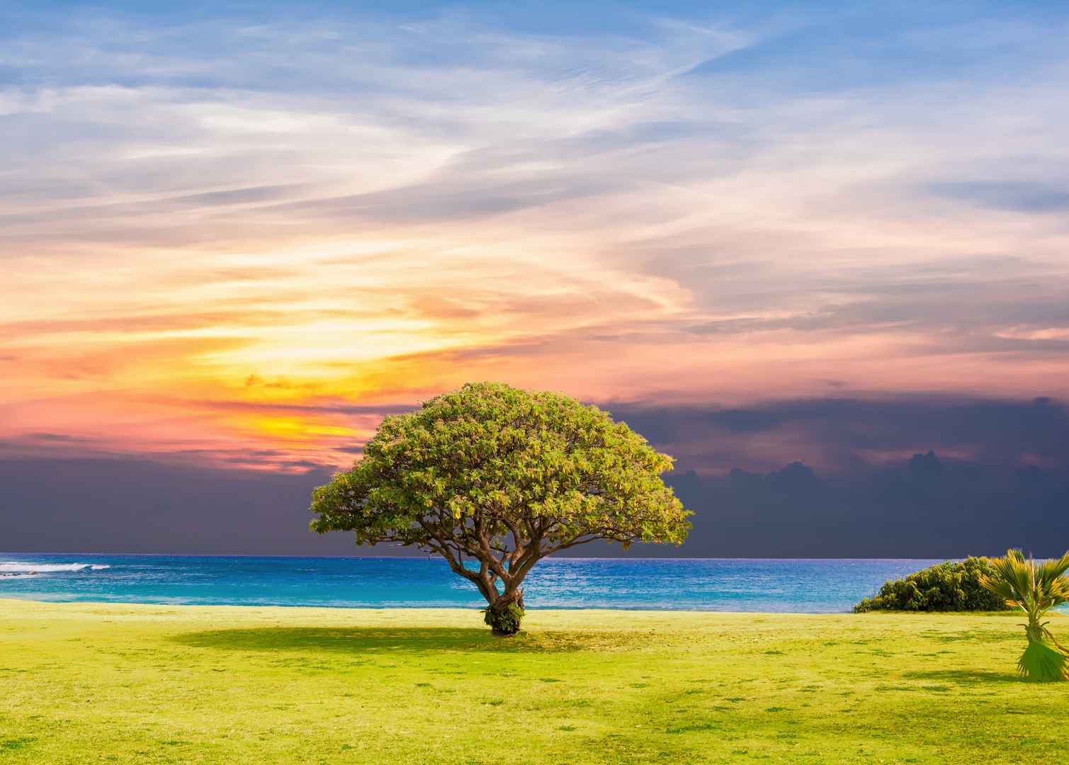 蓝天白云海洋沙滩海星摄影图__自然风景_自然景观_摄影图库_昵图网nipic.com