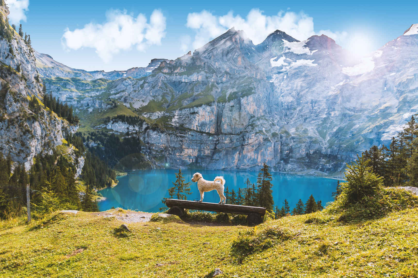 瑞士坎德施泰格湖泊风景壁纸图片