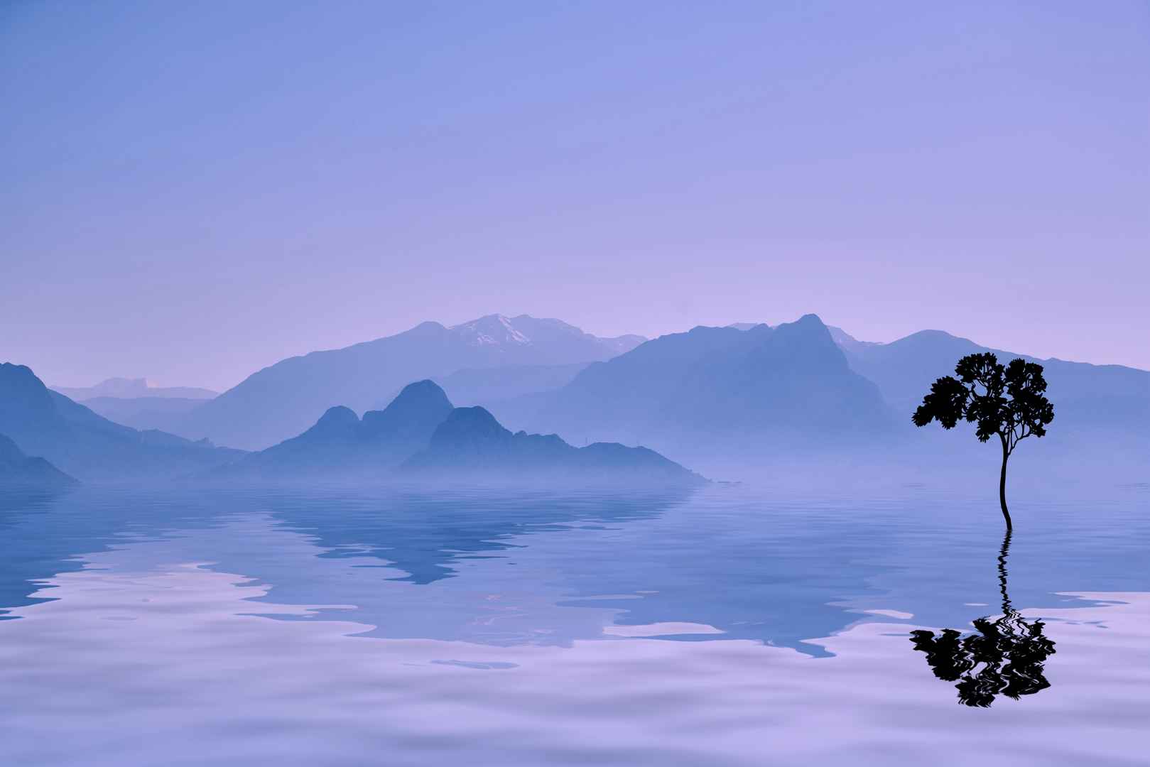 海洋 水面 树 图片