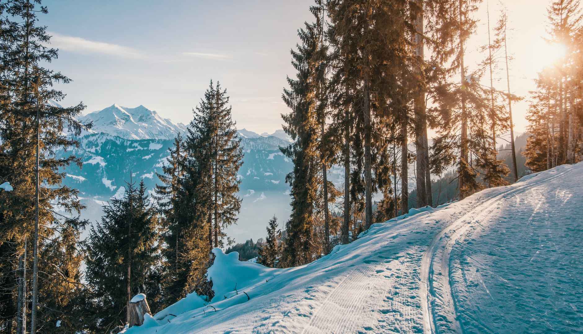 清晨阳光滑雪场跑道图片