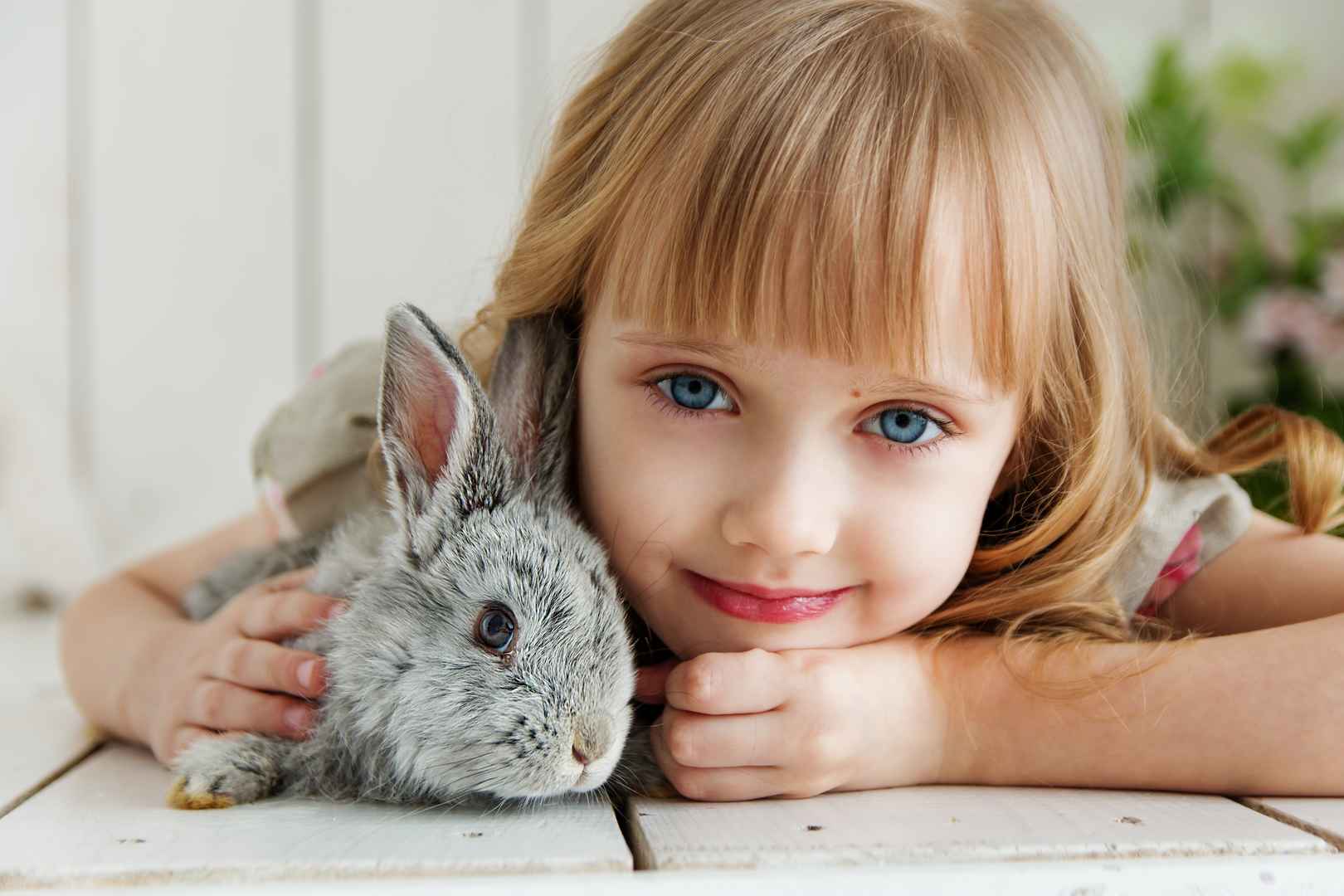 可爱的兔子黄头发蓝眼睛小女孩图片