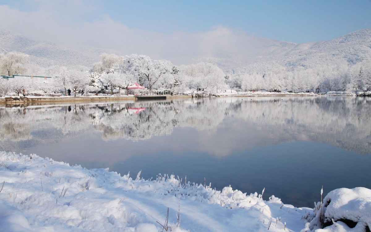 北京植物园雪景图片壁纸-