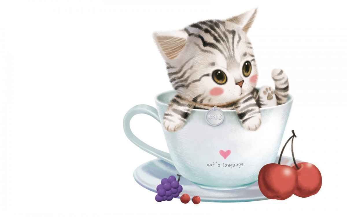 杯中可爱的小花猫图片-