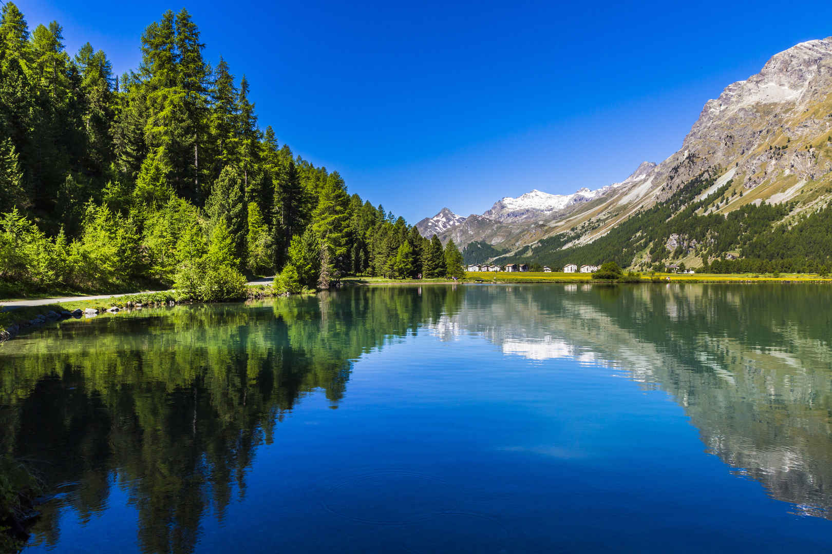 反射 围绕 阿尔卑斯山 湖 乡村 背景 靠近 圣莫里茨 5k壁纸-