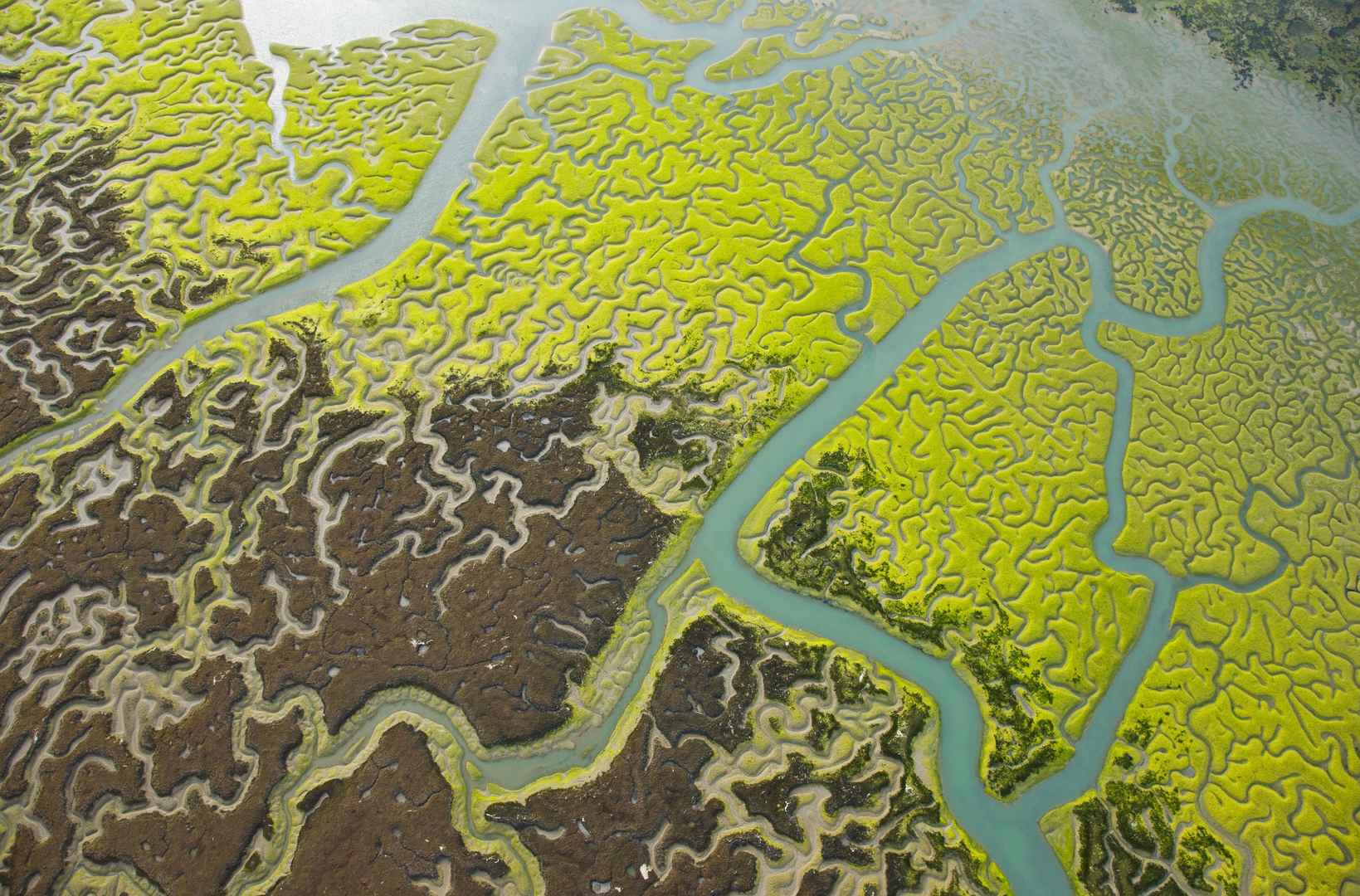 航拍 湿地 自然公园 哥斯达黎加 卡迪兹 安达卢西亚5k壁纸-
