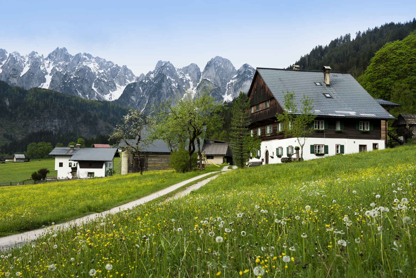 自然风光,农场,阿尔卑斯山,萨尔茨堡州,奥地利7k壁纸