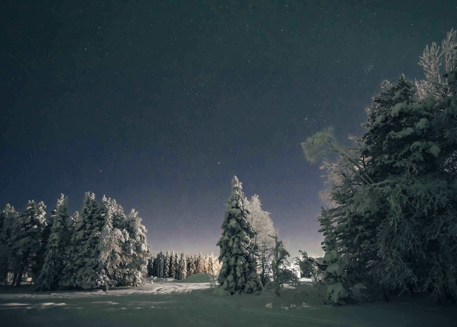 星空 天空 上方 自然风光 积雪 树 瑞典4k壁纸-
