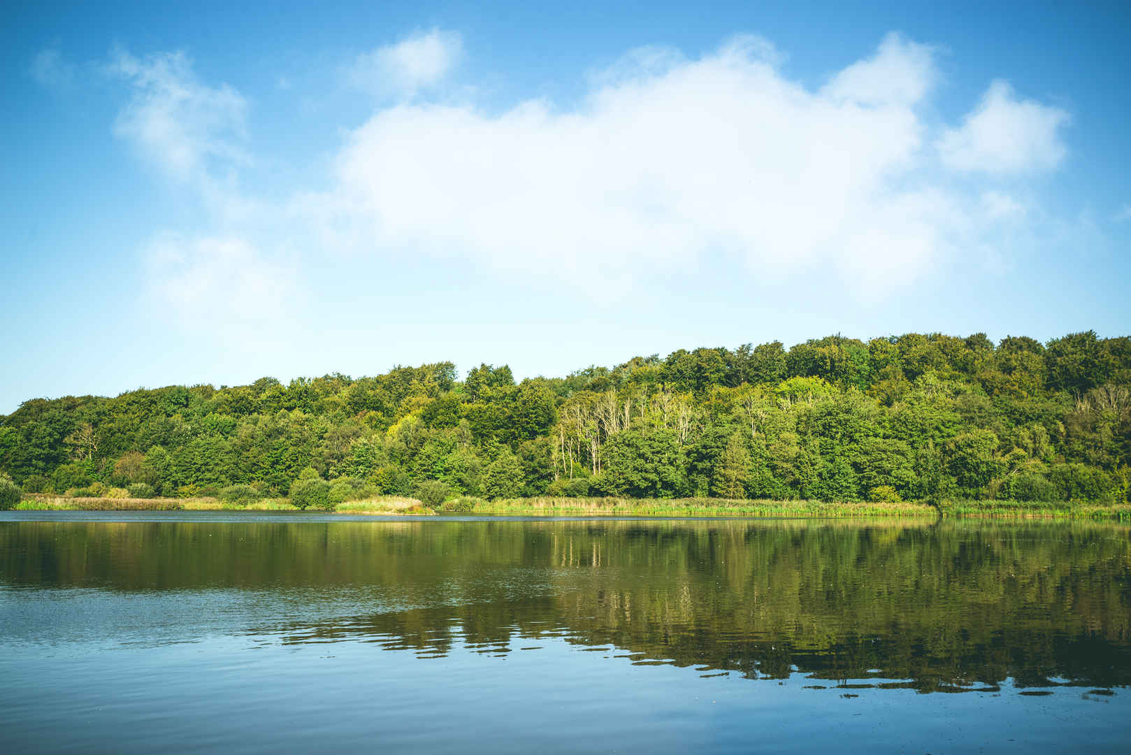 自然风光 湖 风景 树 绿色 彩色4k壁纸-