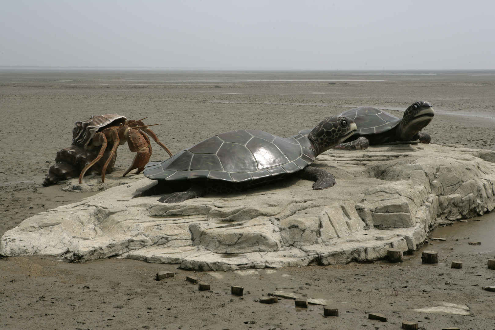 海洋生物雕塑4k壁纸-