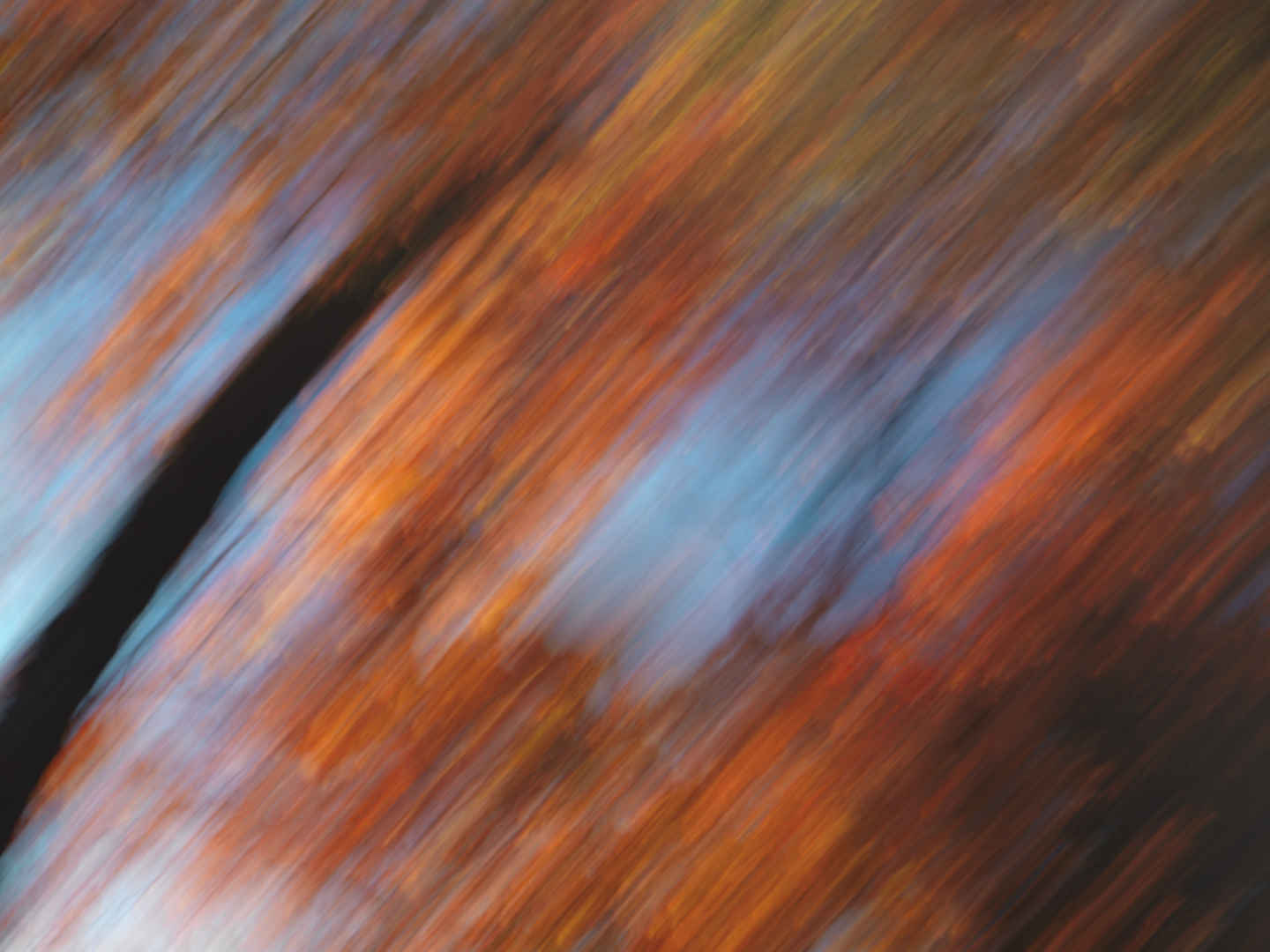 抽象,秋天,自然风光,动感6k壁纸-