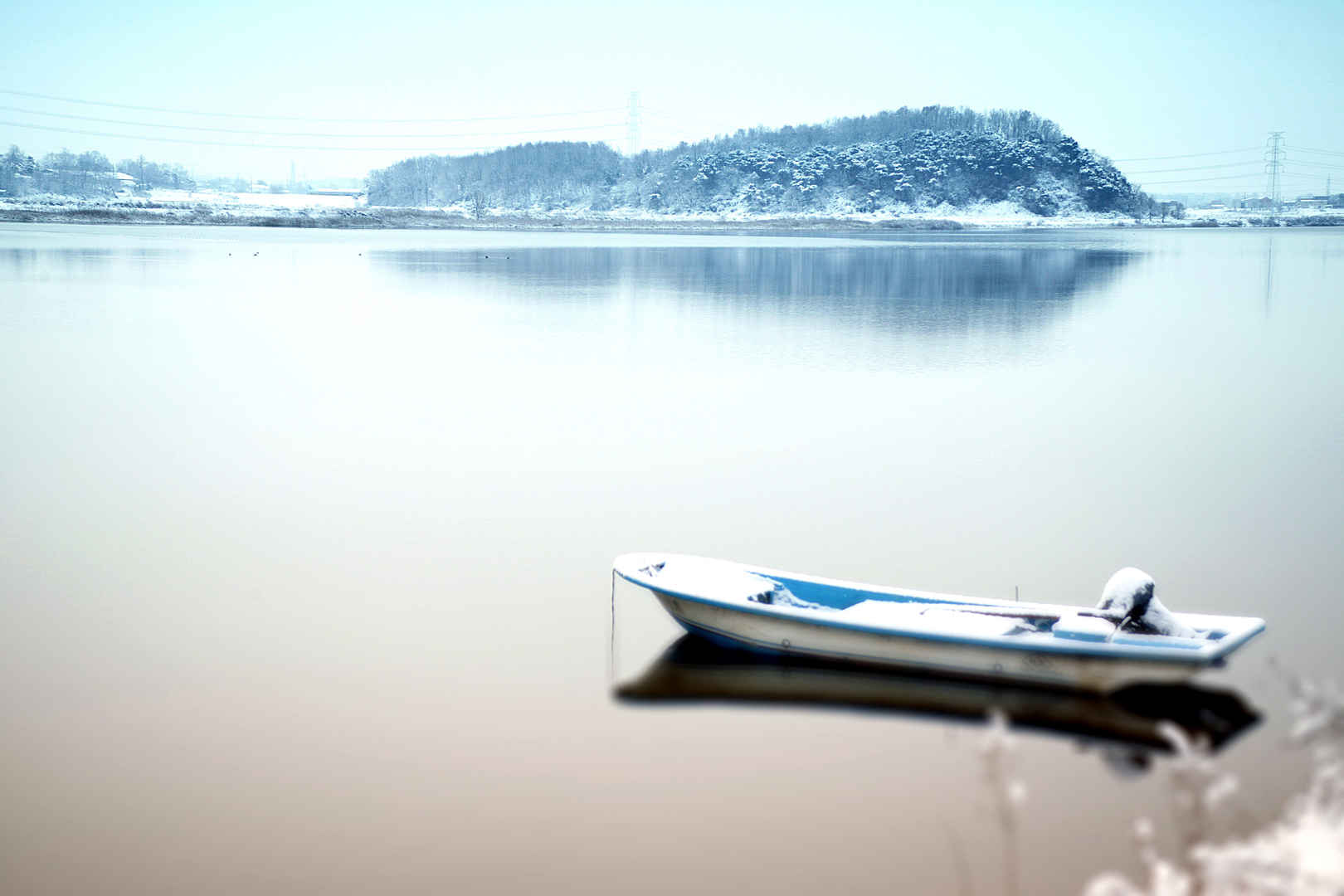 冬季湖上小舟落叶图片