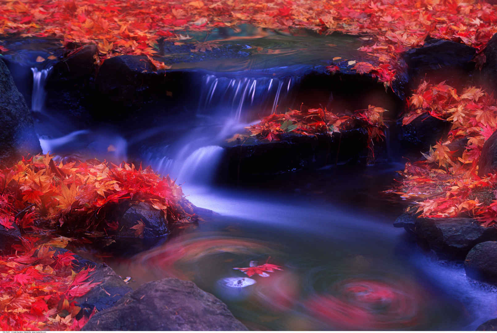 秋季意境流水图片