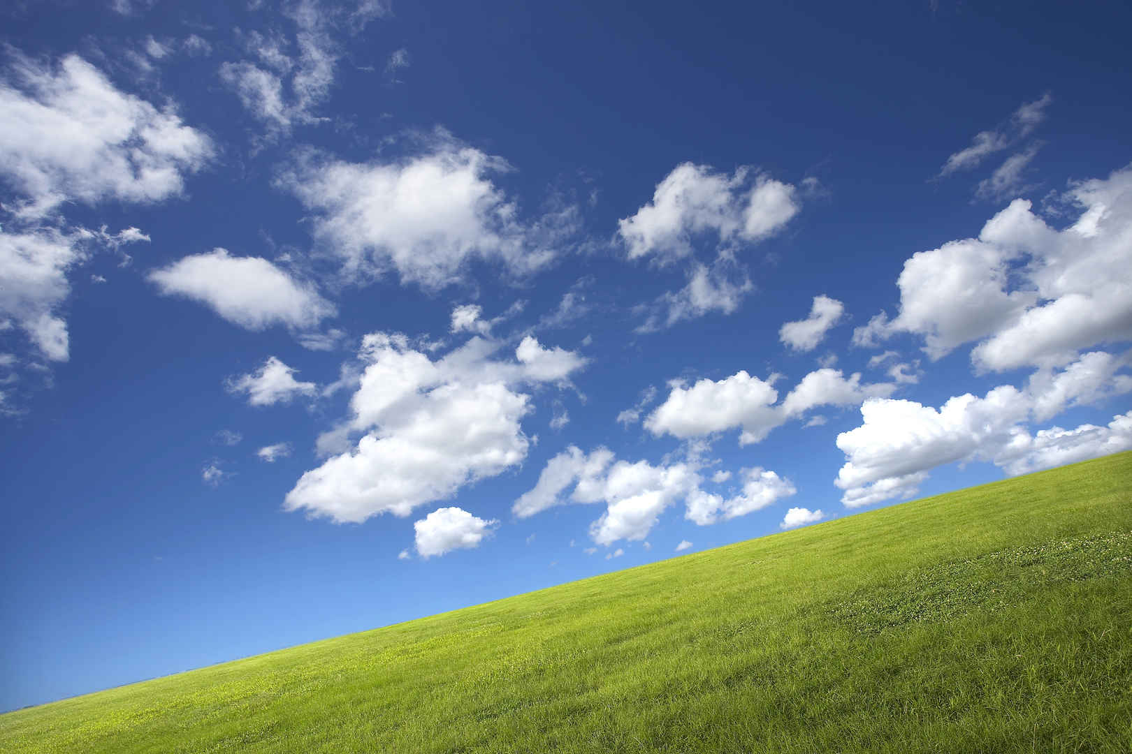 草地蓝天白云背景图