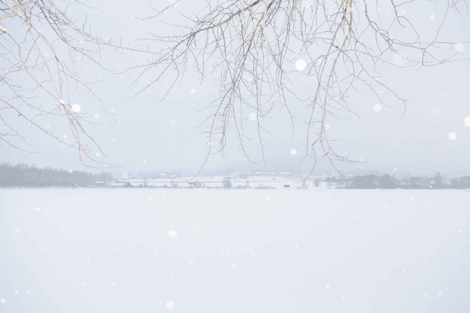 唯美雪景图片-