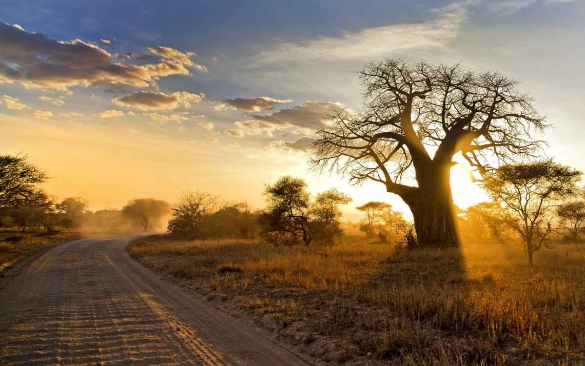 高清非洲自然风景图-