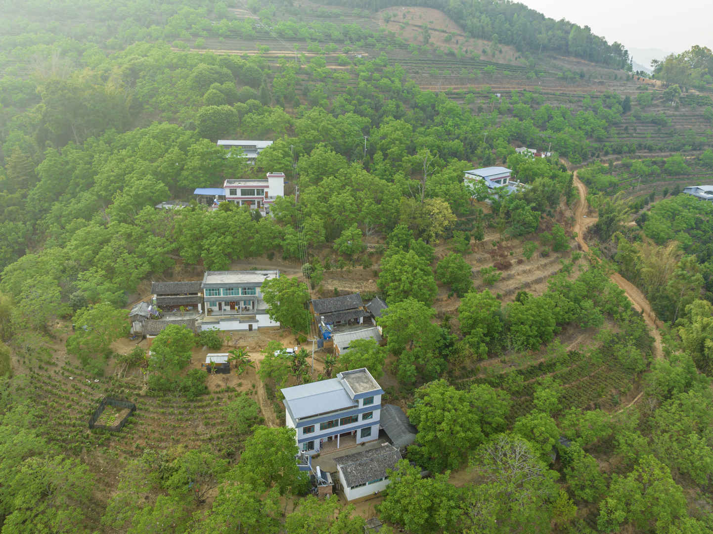农村风景图片