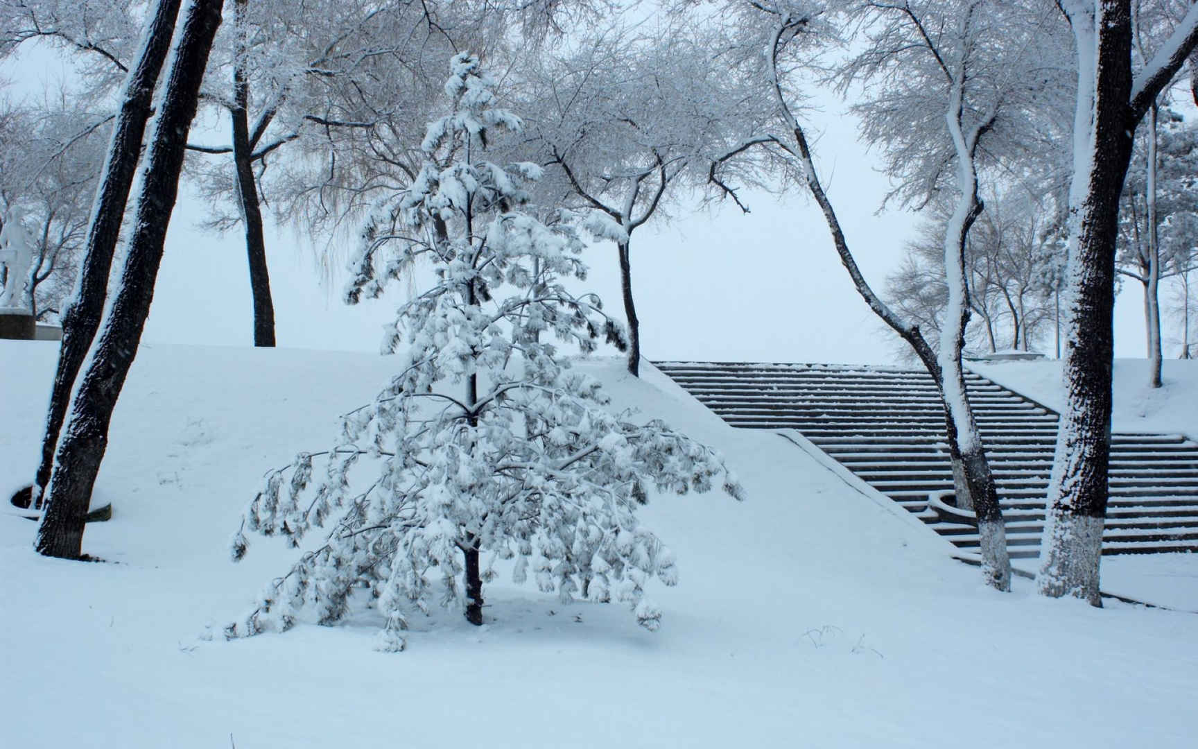 哈尔滨冬天雪景壁纸-