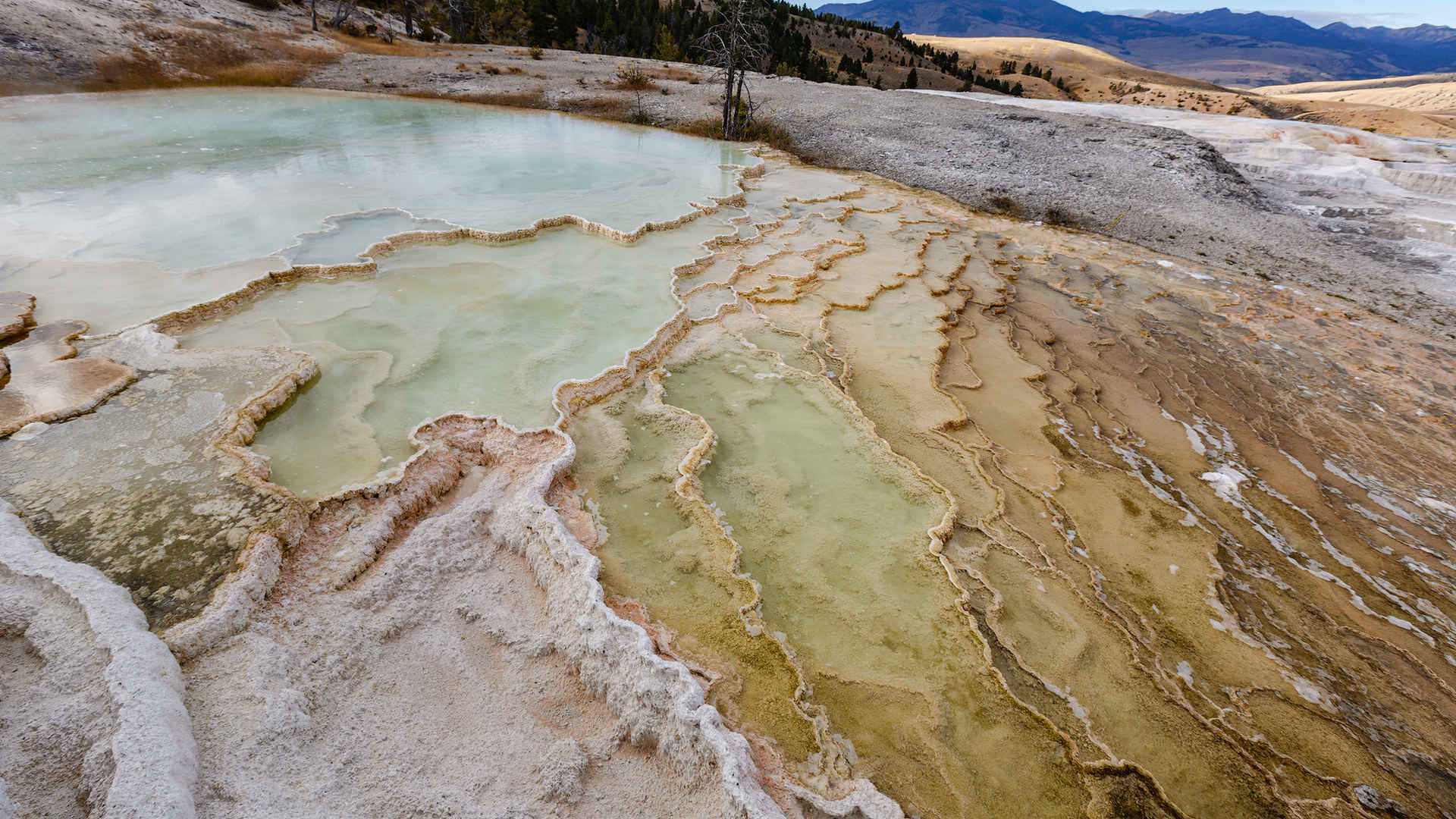 American Yellowstone National Park Win7 HD desktop wallpaper