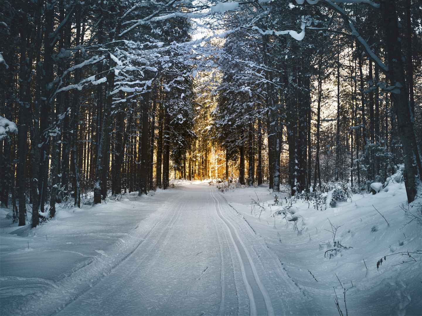森林间公路白雪覆盖壁纸图片