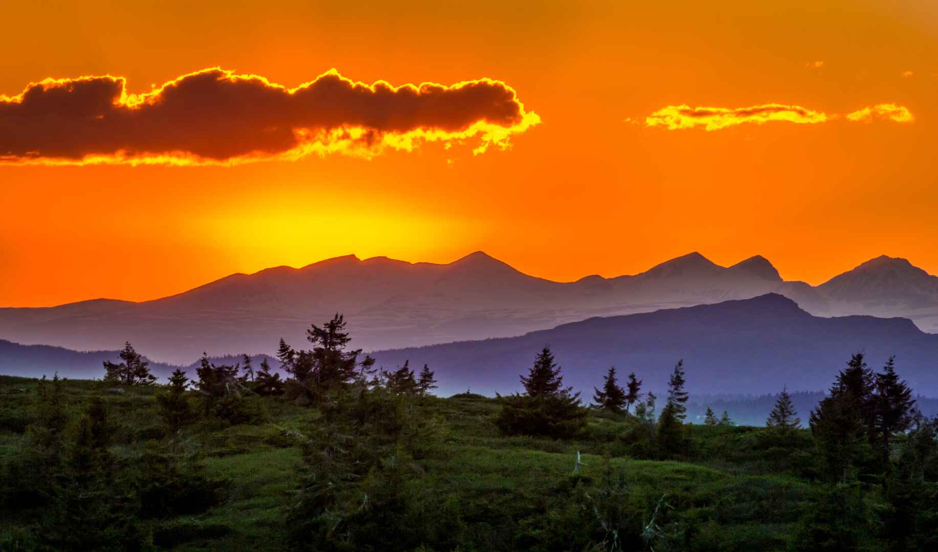 日落树自然太阳天空 壁纸图片