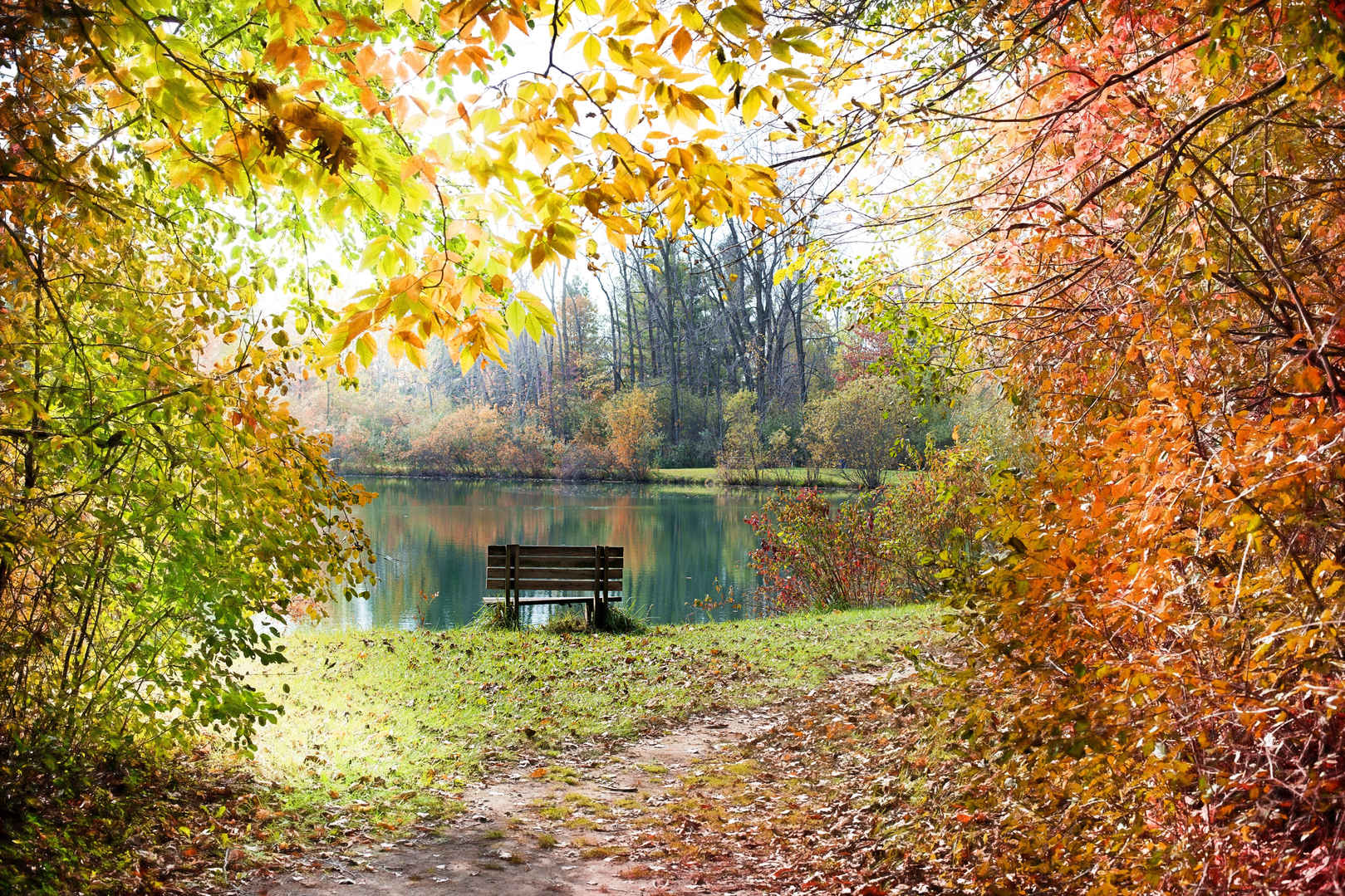 秋天的树叶 树林 河流 · 长椅 秋天背景 自然风景 壁纸图片