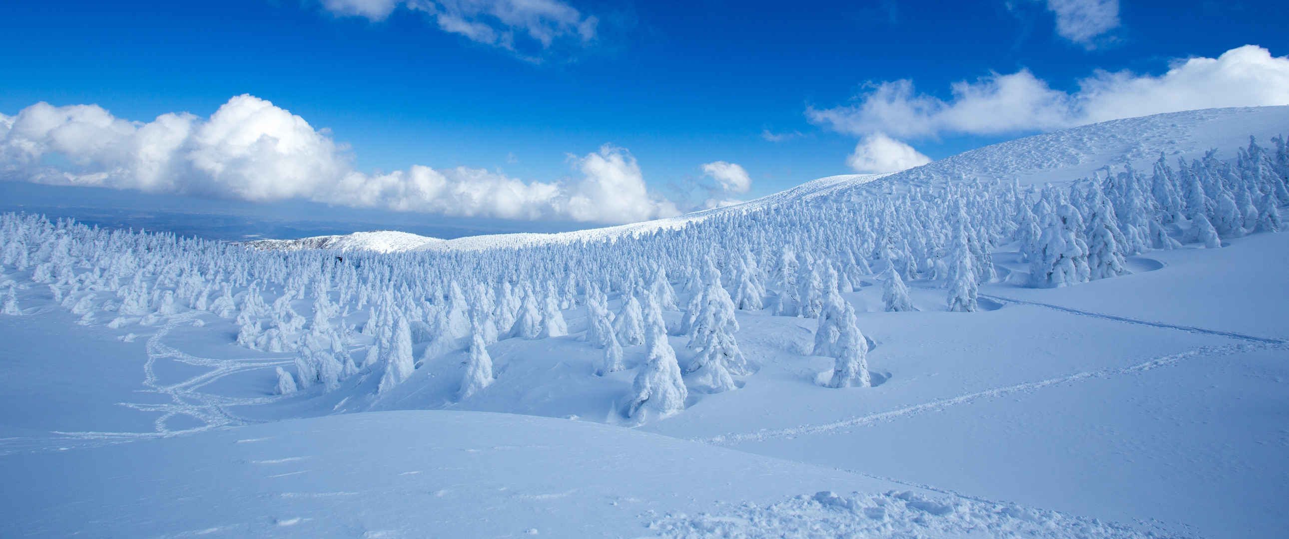 冬天蓝天雪景ins潮图壁纸风景